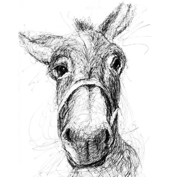 Donkey Sketch Farm Animal Drawing - Zhanna Kan - Drawings & Illustration,  Animals, Birds, & Fish, Farm Animals, Donkey & Mule - ArtPal