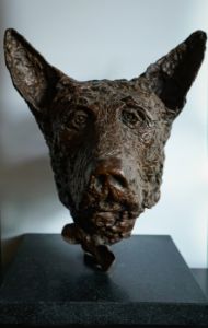 Shepherd - Tom Gabbay