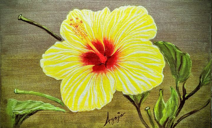 Yellow Hibiscus - Agojo art