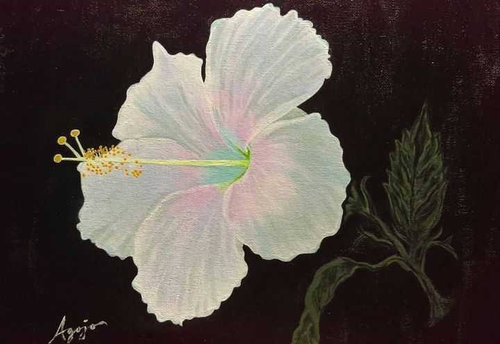 White Hibiscus - Agojo art