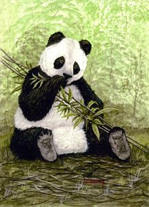 Nap - dessinateur777 - Drawings & Illustration, Animals, Birds, & Fish,  Bears, Panda - ArtPal