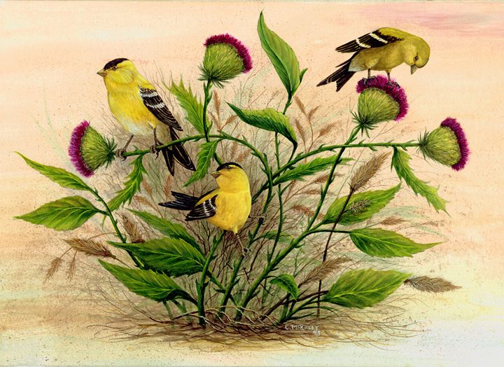Bird watercolor painting Bird art Goldfinch and thistle ACEO ORIGINAL watercolor Miniature painting Gift for nature lovers Home decor