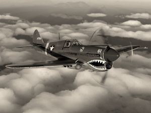 Curtiss P-40 Warhawk - B/W