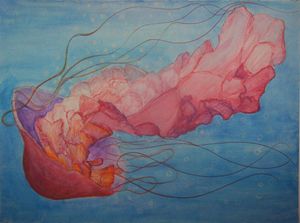 Jellyfish Dive