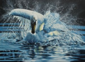 Mute Swan tempest - Julian Wheat Artist