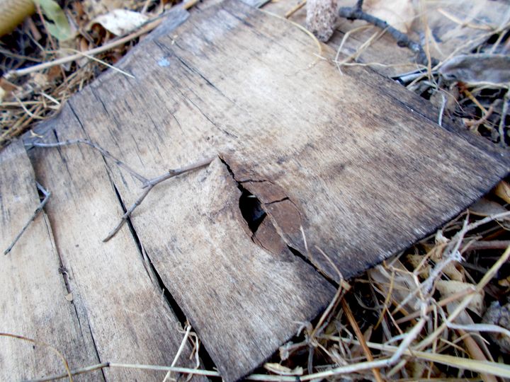 Wood wreck - Photo Art