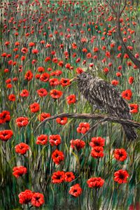 Baby Raven in the Field of Poppies