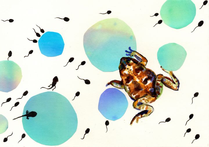 Ecopool 1 : Frog - Pscicodellia - Paintings & Prints, Animals, Birds, &  Fish, Aquatic Life, Other Aquatic Life - ArtPal