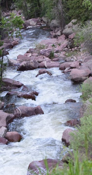 Colorado river run - Catt McGonigle