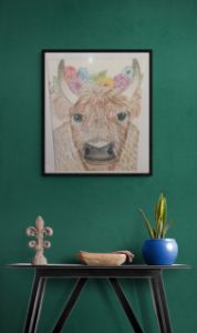 Highland Cow