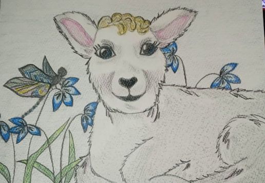 Little Lamb - Descending Grace