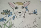 Original Drawing