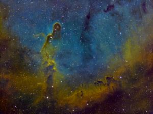 The Elephant Trunk Nebula