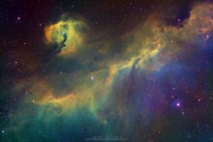The Seagull Nebula
