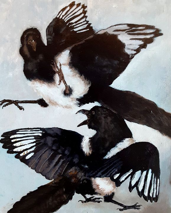 Black Birds Fight For a Female - Alecia Samuelson's Art