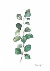Original Watercolor Botanical