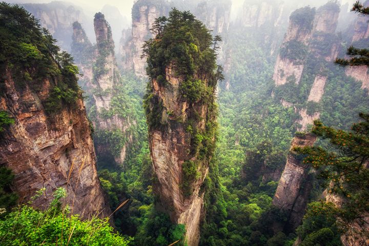 tall mountain peaks of yuanjiajie - Aaron Choi Photography