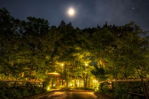 Yufuin golden forest at night