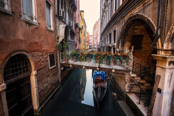 Flowers of Venice - Aaron Choi Photography