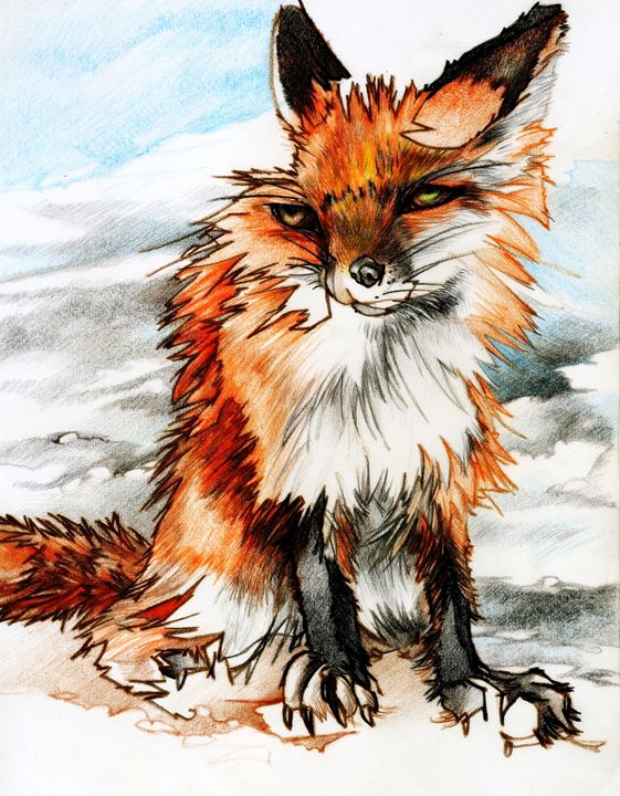 Fox - Chris Vanderhoof