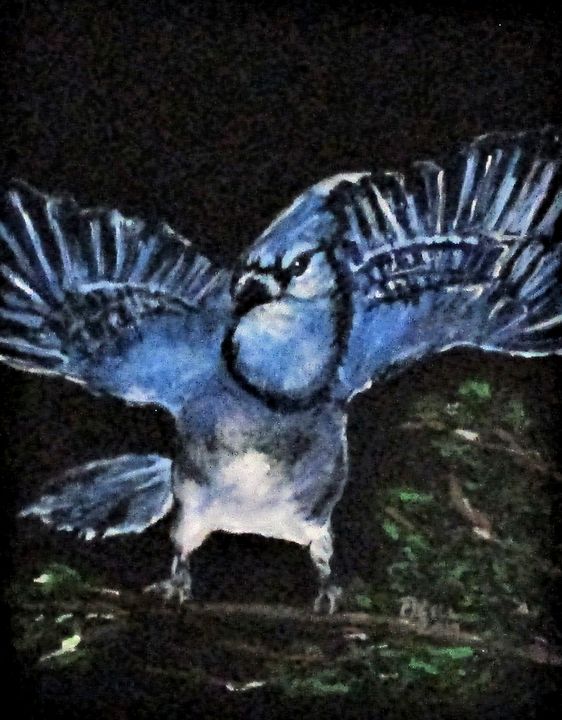 BLUE JAY - DREAMZ-ART - Drawings & Illustration, Animals, Birds, & Fish,  Birds, Bluejays - ArtPal