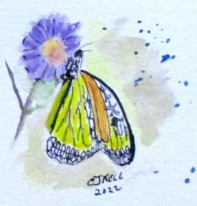 Butterfly No2
