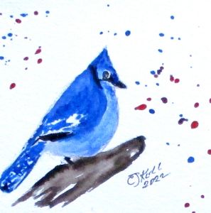 Resting Blue Jay - Amy's Art - Drawings & Illustration, Animals, Birds, &  Fish, Birds, Bluejays - ArtPal