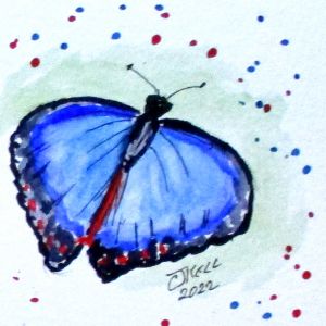 Butterfly No4
