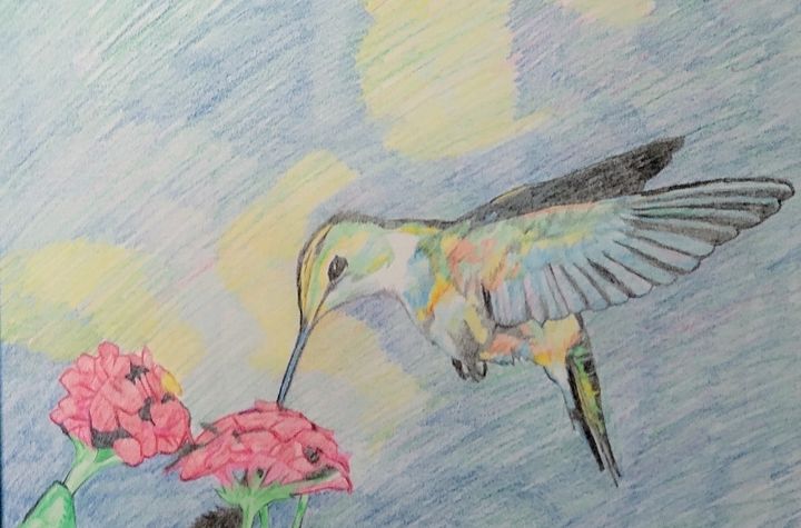 Hummingbird - Dante