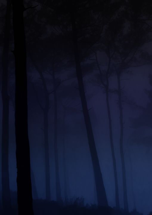 Midnight forest - fotisdigitalart