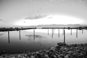 Salton Sea No. 2 (Black & White)