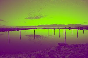 Green Salton Sea