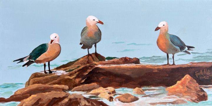 Seagulls on the Rocks - Faythe Mills