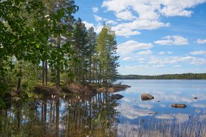 Sweden163