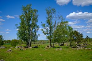 Sweden161