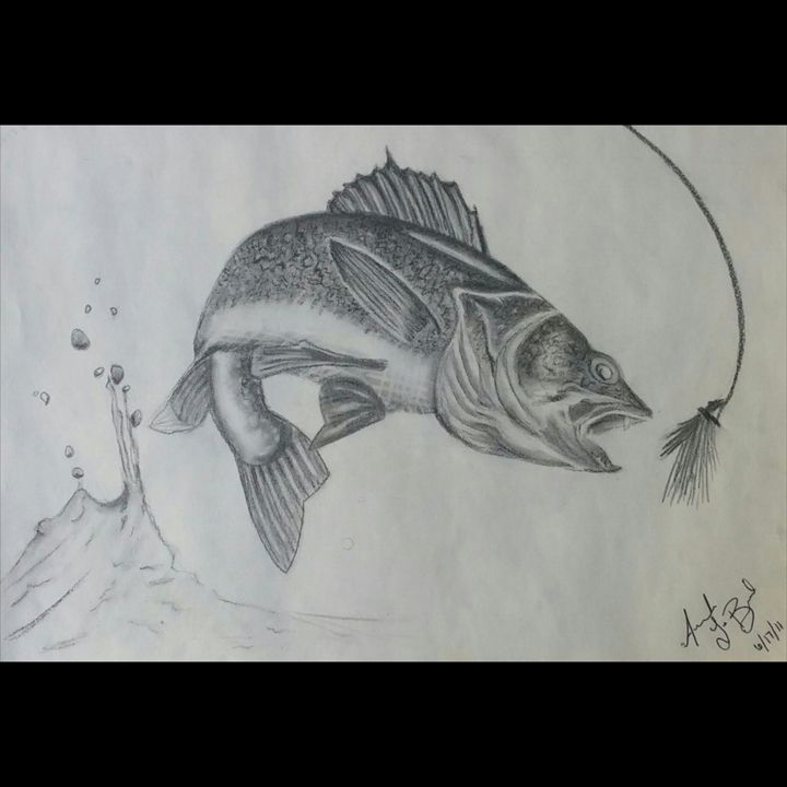 Walleye - Sketches - Drawings & Illustration, Animals, Birds, & Fish,  Aquatic Life, Fish, Freshwater Fish - ArtPal