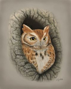Screech Owl in Tree Cavity - ZalikArts