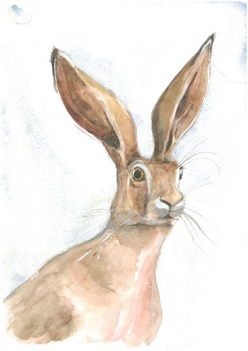 Original watercolor jackrabbit on brown paper. Approximately 9 inches deals by 9 inches in size.