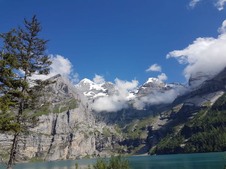 Oeschinensee landscape with trees - NubesDesignCH