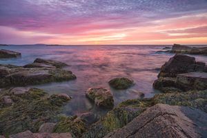 Sky Purple - Images by Jon Evan
