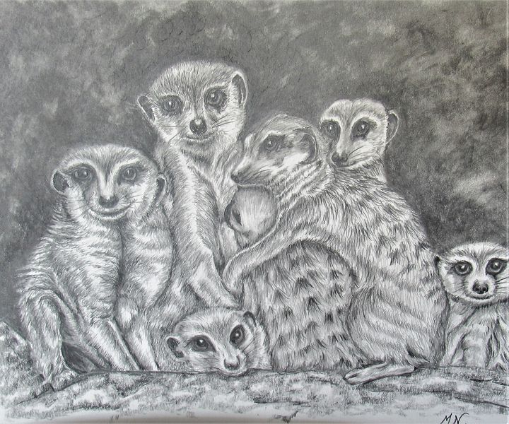 Meerkats - Marie Knotts-Nelson
