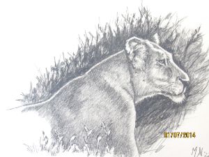 Fierce Lion - SirG - Paintings & Prints, Animals, Birds, & Fish, Wild Cats,  African Lion - ArtPal