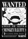 One Piece Wanted BW