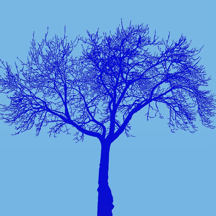Dead tree blue - CanvasTree