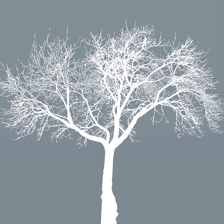 Dead tree gray - CanvasTree