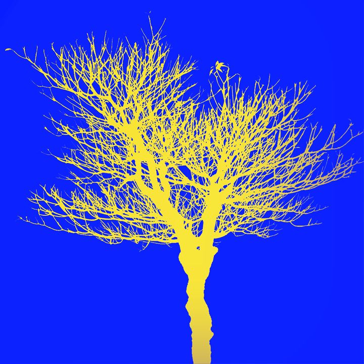 dead tree yellow - CanvasTree