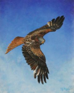 The Red Kite