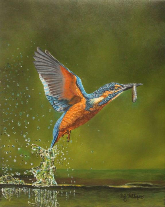 Kingfisher....working for supper - Bob Williams Fine Art