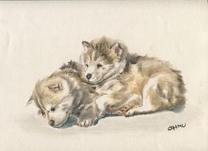 Husky & Huskie