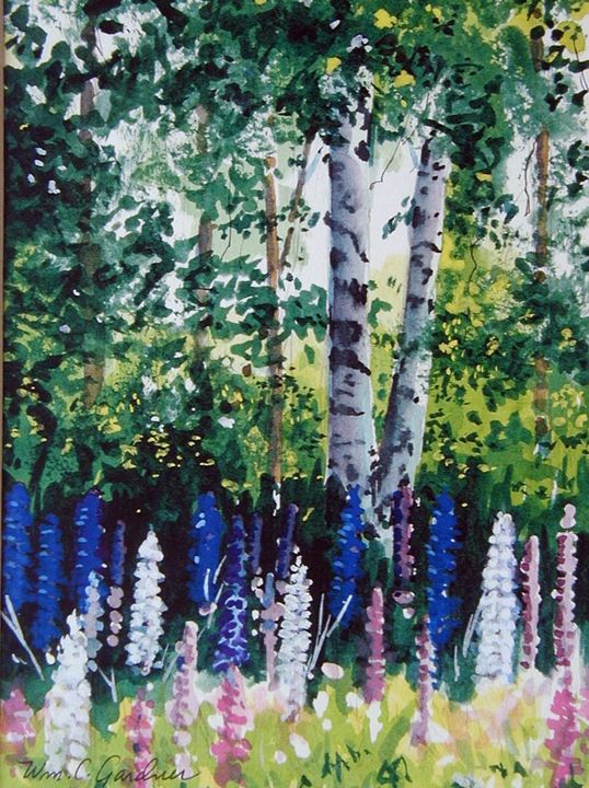 Lupines in Finland - Gardner Watercolors